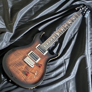 Paul Reed Smith(PRS) SE CUSTOM 24 エレキギター