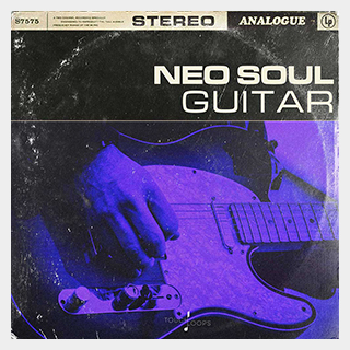 TOUCH LOOPS NEO SOUL GUITARS