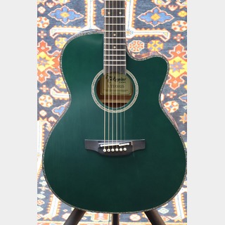 エレクトリック・アコースティックギターの検索結果【楽器検索デジマート】