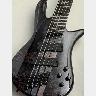 Spector 【48回無金利】NS Dimension MS 5 GROSS -Translucent Black-【NEW】