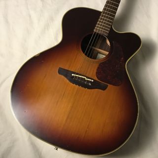 Takamine NPT012