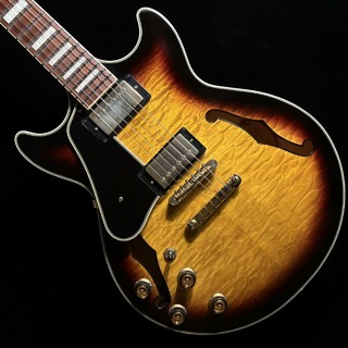 エレクトリックギター ＞ セミアコ、Ibanezの検索結果【楽器検索