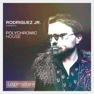 LOOPMASTERS RODRIGUEZ JR. - POLYCHROMIC HOUSE