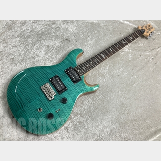 Paul Reed Smith(PRS) SE Custom 24 (Turquoise)