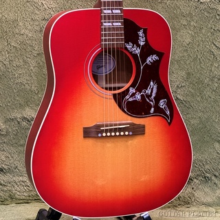 Gibson、Hummingbird Specialの検索結果【楽器検索デジマート】