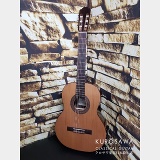 Orpheus Valley Guitars オルフェウス・ヴァレー・ギターズ F63S 杉・ローズウッド 【日本総本店2F在庫品】