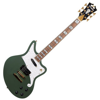 D'Angelico Deluxe Bedford Hunter Green エレキギター