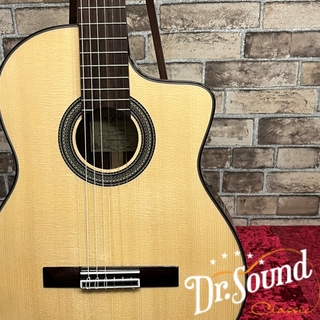 エレクトリック・アコースティックギター、ARIAの検索結果【楽器検索