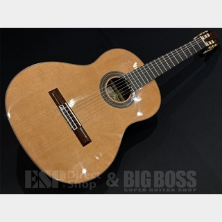 ARIA A-70C