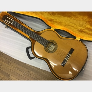 最終特価❣️極美品❣️70s 国産ビンテージ❣️ProMartin Ｆ-170 良音❣️ セール極美品❣️70s 国産ビンテージ❣️ProMartin F-170 良音❣️