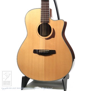 アコースティックギター／エレクトリック・アコースティックギター