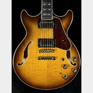 エレクトリックギター ＞ セミアコ、Ibanezの検索結果【楽器検索