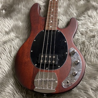 Sterling by MUSIC MAN SUB STINGRAY RAY4 - Walnut Satin【現物画像】【最大36回分割無金利キャンペーン実施中】