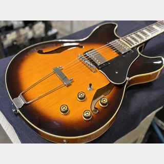 エレクトリックギター ＞ セミアコ、Ibanezの検索結果【楽器検索