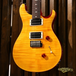 Paul Reed Smith(PRS) SE CUSTOM24【ロック式ペグ交換後のお渡し可能】