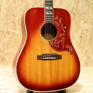 アコースティックギター、Gibson、Doveの検索結果【楽器検索