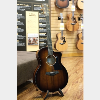 Taylor 224ce-K DLX