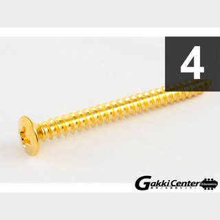 ALLPARTS Pack of 4 Gold Neckplate Screws/7514