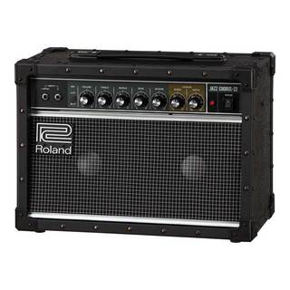 Roland JC-22 Jazz Chorus Guitar Amplifier 【数量限定特価・送料無料!】