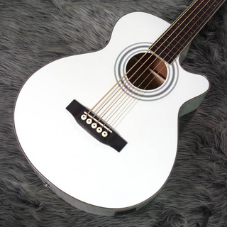 アコースティック・ベース／エレアコ・ベースの検索結果【楽器