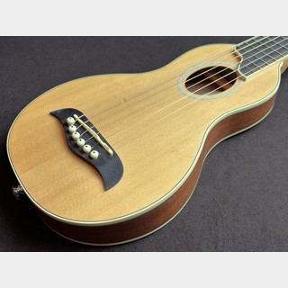 アコースティックギター／エレクトリック・アコースティックギター