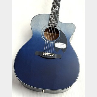 エレクトリック・アコースティックギターの検索結果【楽器検索