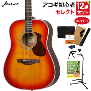 JamesJ-300D CAO アコースティックギター 教本付きセレクト12点セット 初心者セット