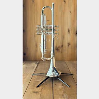 管楽器・吹奏楽器の検索結果【楽器検索デジマート】