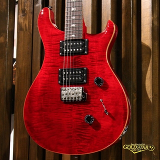 Paul Reed Smith(PRS) SE CUSTOM24【ロック式ペグ交換後のお渡し可能】