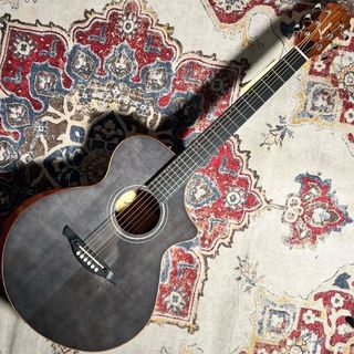 アコースティックギター、パーフェロー OR PauFerroの検索結果【楽器
