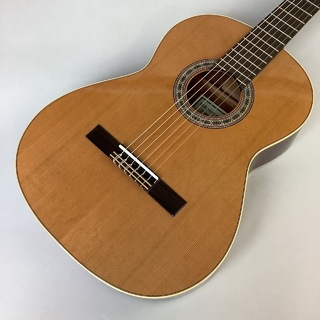 Antonio Sanchez BG-1 CEDAR