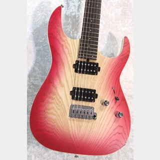 SAITO GUITARS 【旧定価ラストロット】S-624 HH Petunia #232431【3.35kg/漆黒指板個体】