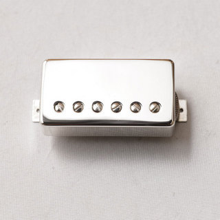 ThroBak PRE-T-301 MXV BRIDGE NICKEL【ナンバード】【リア】