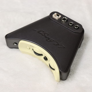 L.R.Baggs anthem 【梅田店】