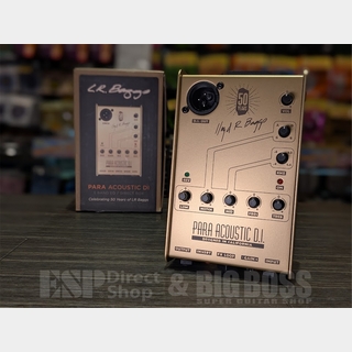 L.R.Baggs Gold Para DI