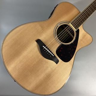 アコースティックギター／エレクトリック・アコースティックギター