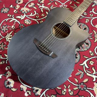 アコースティックギター／エレクトリック・アコースティックギター