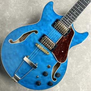 エレクトリックギター ＞ フルアコ、Ibanezの検索結果【楽器検索