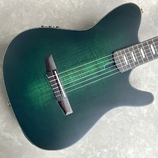 エレガットギターの検索結果【楽器検索デジマート】