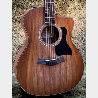 Taylor 124ce Special Edition -Walnut Top- #2208113317【48回迄金利0%対象】【送料当社負担】