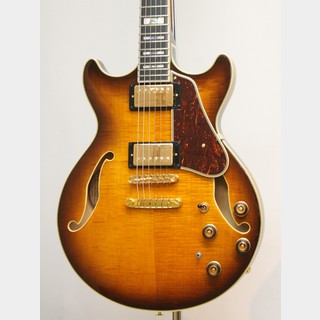 エレクトリックギター ＞ セミアコ、Ibanezの検索結果【楽器検索