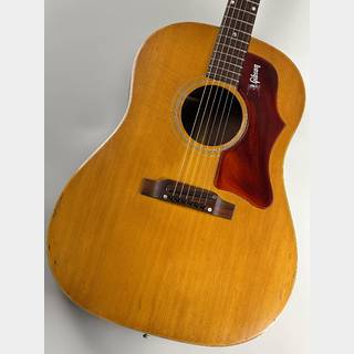 アコースティックギター、Gibson、J-50、J-50の検索結果【楽器検索