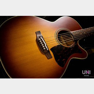 Takamine 500 CUSTOM -黄昏-