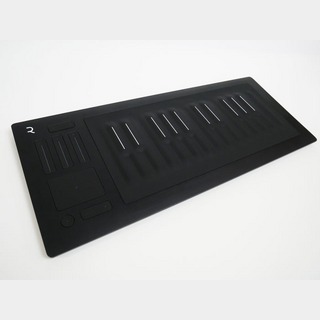 ROLI Seaboard RISE25