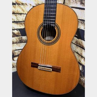 クラシック・ギター／フラメンコ・ギター【楽器検索デジマート】
