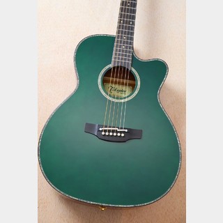 エレクトリック・アコースティックギターの検索結果【楽器検索デジマート】