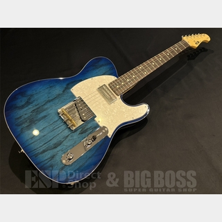 エレクトリックギター ＞ TLタイプ、FUJIGEN(FGN)の検索結果【楽器検索