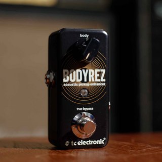 t.c. electronic、BodyRezの検索結果【楽器検索デジマート】