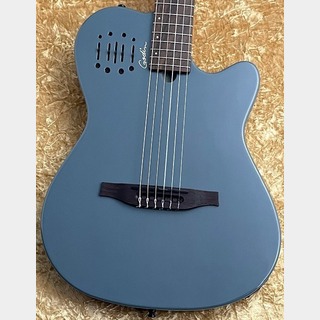 アコースティックギター／エレクトリック・アコースティックギター
