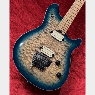 EVH、Wolfgang Special QMの検索結果【楽器検索デジマート】 EVH、Wolfgang Special QMの検索結果【楽器検索デジマート】